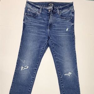 Express Men's Skinny Jeans - Blue